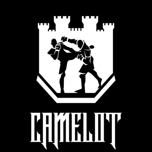 camelot_icon